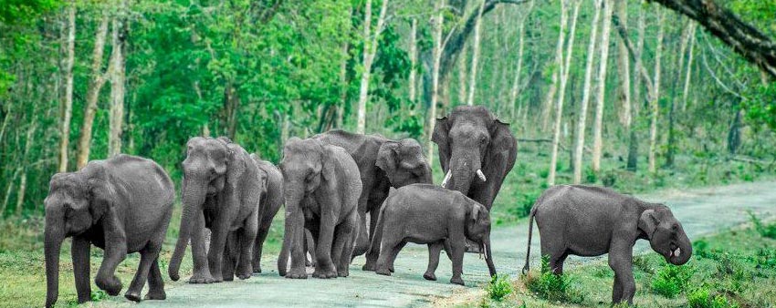 bandipur-place